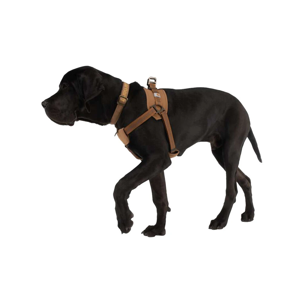 Carhartt Work Dog Harness 7 Carhartt Work Dog Harness - Afbeelding 7