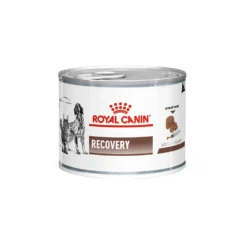 Royal Canin Recovery 5 Royal Canin Recovery -Bekend Hondenspullen Winkel cca7b4865eba8e717727e64fa5319b72f434cc45214342537b11b8d75e35590d 3 5