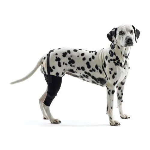 Kruuse Rehab Kniebeschermer 4 Kruuse Rehab Kniebeschermer - Afbeelding 4