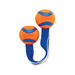 Chuckit! Ultra Duo Tug 8 Chuckit! Ultra Duo Tug -Bekend Hondenspullen Winkel chuckit ultra duo tug 122951 0500 none