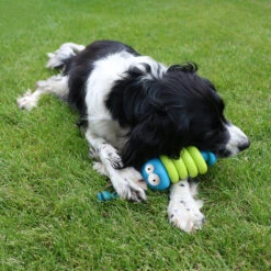 Coockoo Larry -Bekend Hondenspullen Winkel coockoo larry 216712 1000 none