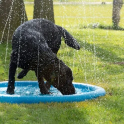 CoolPets Splash Pool Sproeier -Bekend Hondenspullen Winkel coolpets splash pool sproeier 174286 1000 none
