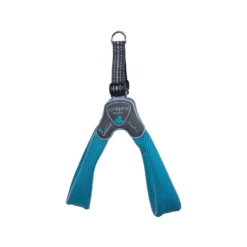 Coralpina Harnas Cinquetorri Mini -Bekend Hondenspullen Winkel coralpina harnas cinquetorri mini turquoise xs 133829 2000 none