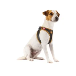 Curli Harnas Vegan Appelleer 33 Curli Harnas Vegan Appelleer -Bekend Hondenspullen Winkel curli harnas vegan appelleer 216631 0500 none