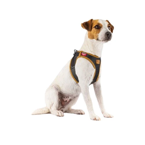 Curli Harnas Vegan Appelleer 17 Curli Harnas Vegan Appelleer - Afbeelding 17