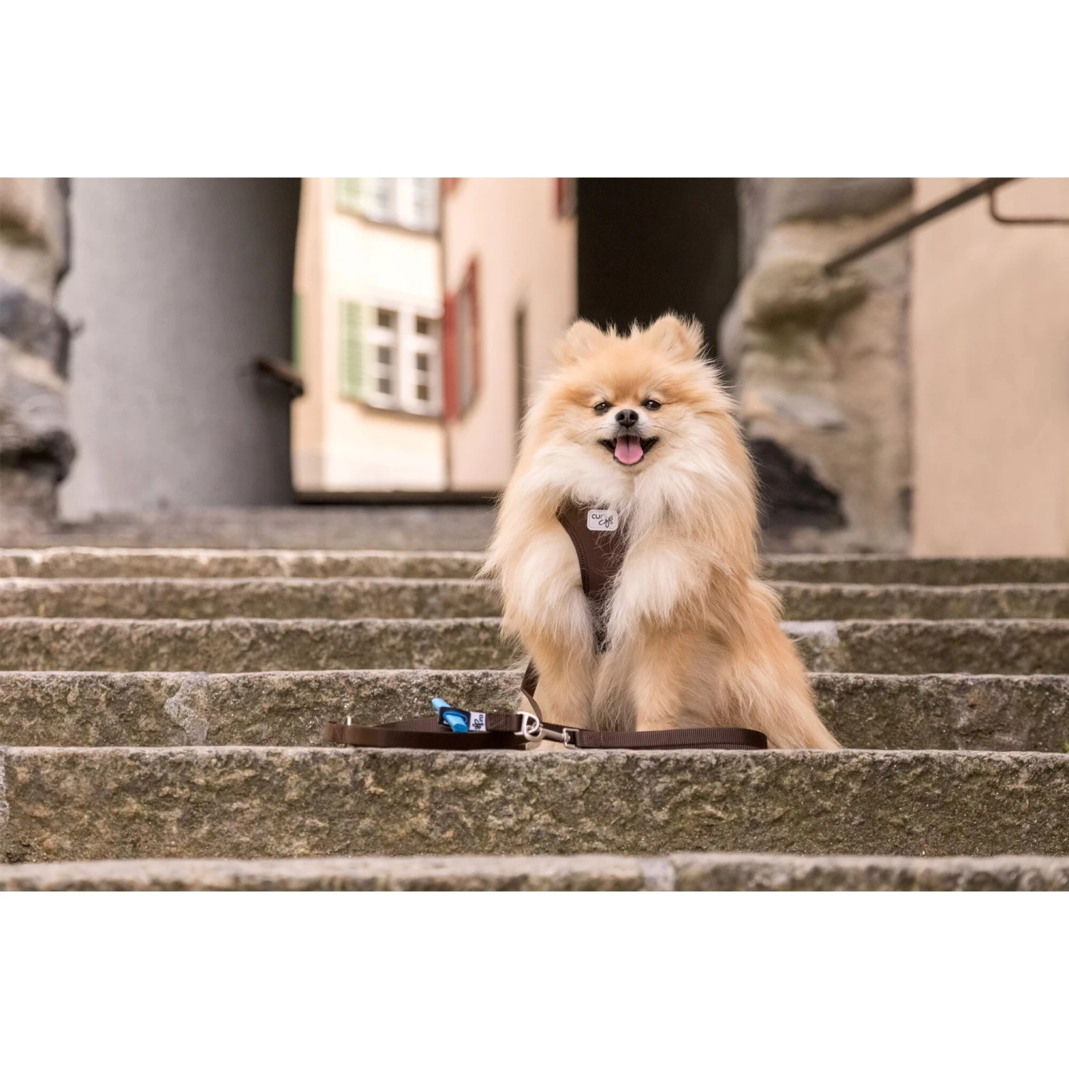 Curli Adjustable Leash Nylon 12 Curli Adjustable Leash Nylon - Afbeelding 12