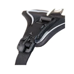 Curli Magnetic Belka Comfort Harness -Bekend Hondenspullen Winkel curli magnetic belka comfort harness 219392 2000 none