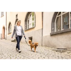 Curli Magnetic Belka Comfort Harness -Bekend Hondenspullen Winkel curli magnetic belka comfort harness 219394 2000 none