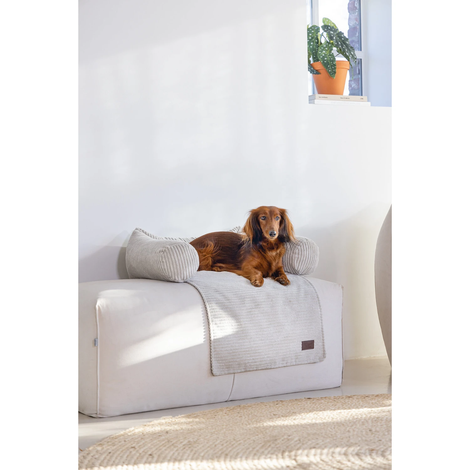 Designed By Lotte Bankkussen Ribbed 7 Designed By Lotte Bankkussen Ribbed - Afbeelding 7