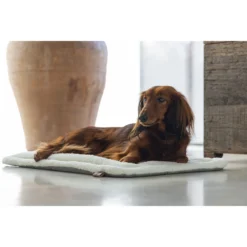 Designed By Lotte Benchkussen Gisel -Bekend Hondenspullen Winkel designed by lotte benchkussen gisel 221516 1000 none