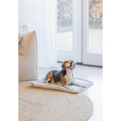 Designed By Lotte Benchkussen Gisel -Bekend Hondenspullen Winkel designed by lotte benchkussen gisel 221517 1500 none