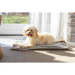 Designed By Lotte Benchkussen Gisel -Bekend Hondenspullen Winkel designed by lotte benchkussen gisel 221518 1500 none