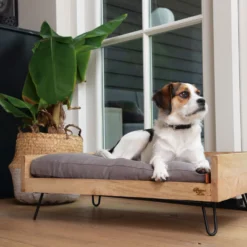 Designed By Lotte Ligmand Turana -Bekend Hondenspullen Winkel designed by lotte ligmand turana 170032 2000 none