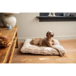 Designed By Lotte Xanti Hondenkussen -Bekend Hondenspullen Winkel designed by lotte xanti hondenkussen 188127 2000 none