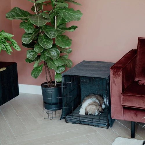 District 70 Crate Bench Hoes 15 District 70 Crate Bench Hoes - Afbeelding 15