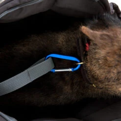 Doctor Bark Dog Carrier Bag -Bekend Hondenspullen Winkel doctor bark honden draagtas 202157 1500 none