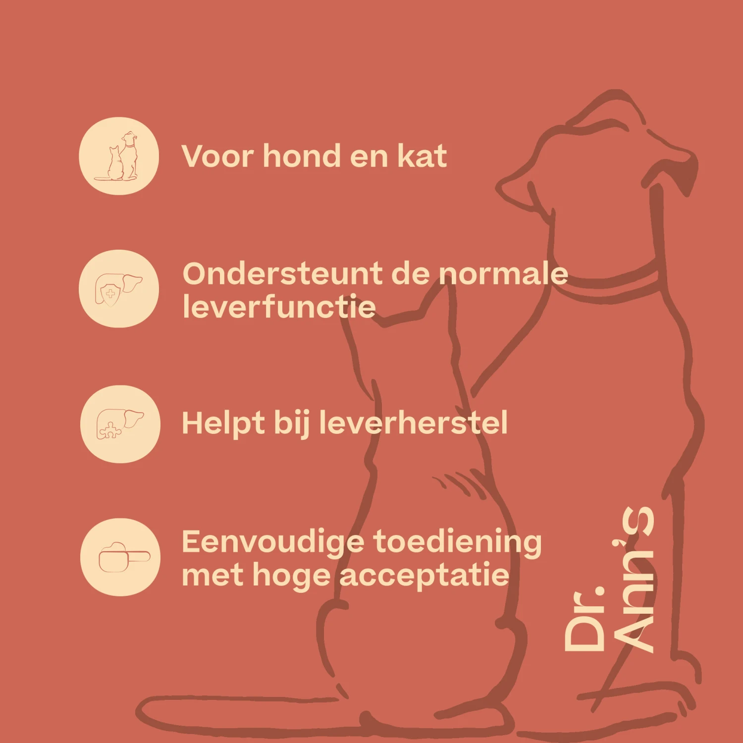 Dr. Ann's Liver Support 2 Dr. Ann's Liver Support - Afbeelding 2