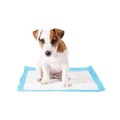Duvo+ Puppy Pads -Bekend Hondenspullen Winkel duvo puppy pads 146015 1000 none