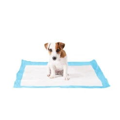 Duvo+ Puppy Pads -Bekend Hondenspullen Winkel duvo puppy pads large 50 stuks 108439 1000 none