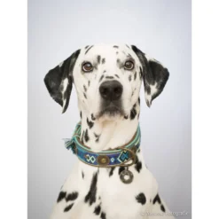 DWAM Halsband Boho Juan -Bekend Hondenspullen Winkel dwam halsband boho juan 132080 1000 none