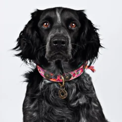 DWAM Halsband Boho Rosa -Bekend Hondenspullen Winkel dwam halsband boho rosa 133649 2000 none