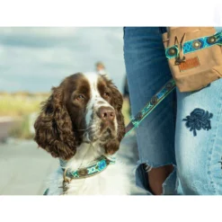 DWAM Hondenriem Boho Juan -Bekend Hondenspullen Winkel dwam hondenriem boho juan 135979 1000 none