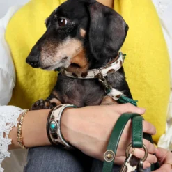 DWAM Hondenriem Ivy -Bekend Hondenspullen Winkel dwam hondenriem ivy 180697 1000 none