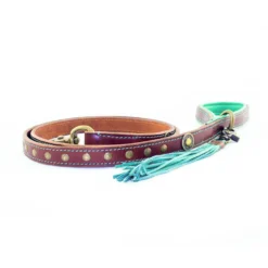 DWAM Hondenriem Joe 9 DWAM Hondenriem Joe -Bekend Hondenspullen Winkel dwam hondenriem joe 161917 1000 none