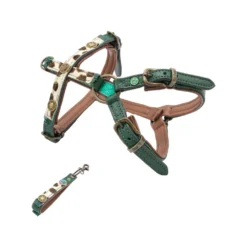 DWAM Hondentuigje Ivy 13 DWAM Hondentuigje Ivy -Bekend Hondenspullen Winkel dwam hondentuigje ivy 182734 1000 none