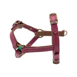 DWAM Hondentuigje Lou Lou -Bekend Hondenspullen Winkel dwam hondentuigje lou lou 182155 1000 none