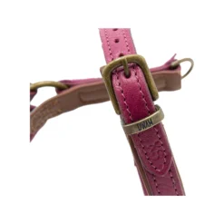 DWAM Hondentuigje Lou Lou -Bekend Hondenspullen Winkel dwam hondentuigje lou lou 182158 1000 none