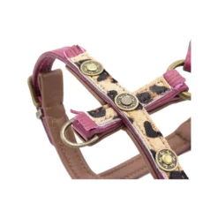 DWAM Hondentuigje Lou Lou -Bekend Hondenspullen Winkel dwam hondentuigje lou lou 182161 1000 none