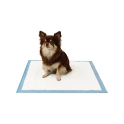 Easypets Trainingspads -Bekend Hondenspullen Winkel easypets trainingspads 184186 1000 none