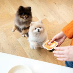 Edgard & Cooper Adult - Kip & Kalkoen - Kuipje 13 Edgard & Cooper Adult - Kip & Kalkoen - Kuipje -Bekend Hondenspullen Winkel edgard cooper adult kip kalkoen kuipje 168597 2000 none