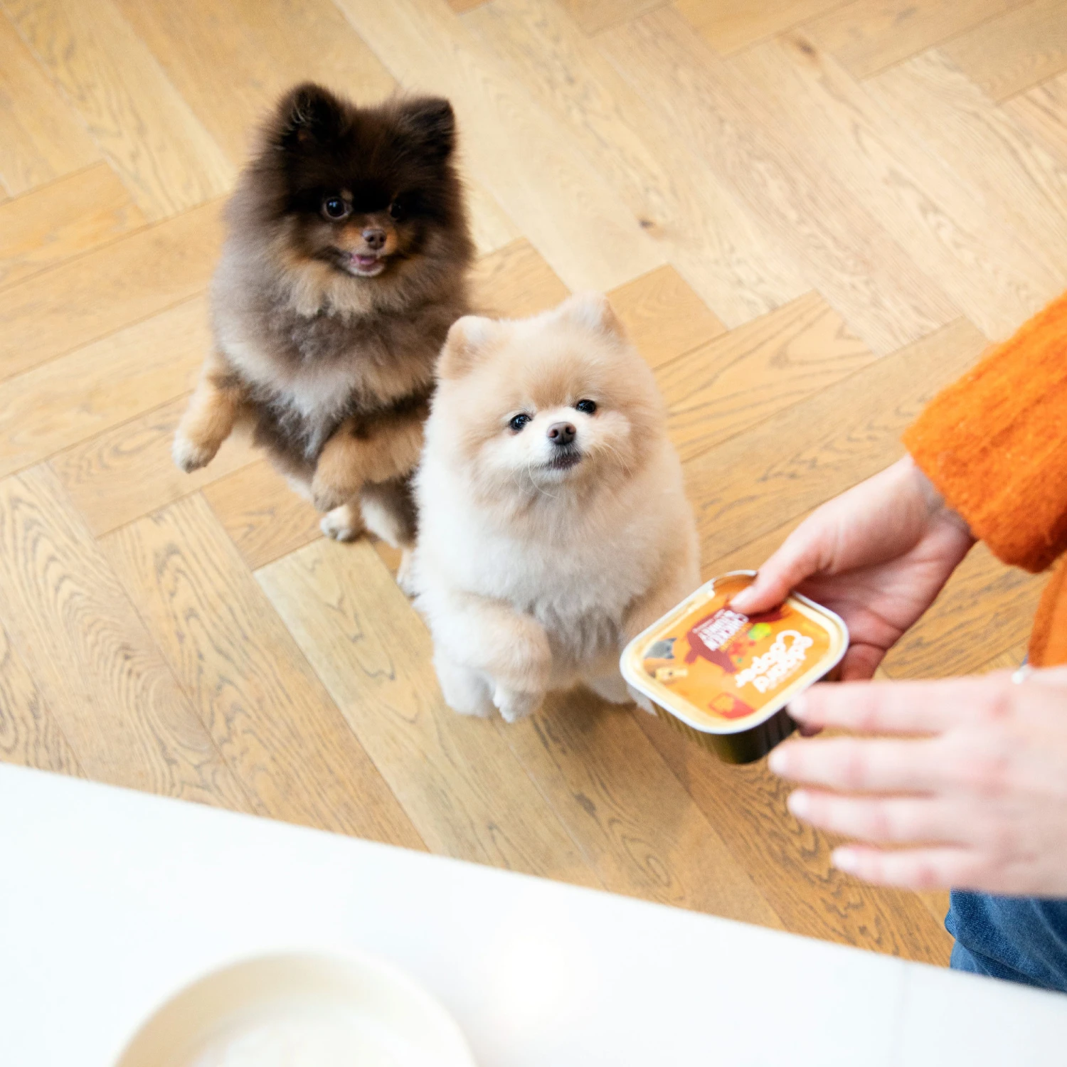 Edgard & Cooper Adult - Kip & Kalkoen - Kuipje 5 Edgard & Cooper Adult - Kip & Kalkoen - Kuipje - Afbeelding 5