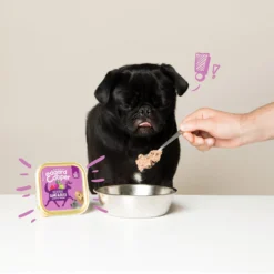 Edgard & Cooper Adult - Wild & Eend - Kuipje 13 Edgard & Cooper Adult - Wild & Eend - Kuipje -Bekend Hondenspullen Winkel edgard cooper adult wild eend kuipje 168648 1000 none