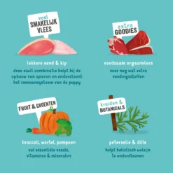 Edgard & Cooper Puppy - Eend & Kip - Kuipje 16 Edgard & Cooper Puppy - Eend & Kip - Kuipje -Bekend Hondenspullen Winkel edgard cooper puppy eend kip kuipje 168675 1000 none