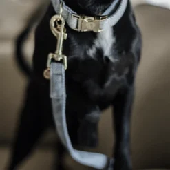 Kentucky Dogwear Hondenlijn Wool -Bekend Hondenspullen Winkel ejrjoyb8lNCNJUWqzyDtR4feCTIyNI metaS2VudHVja3ktRG9nd2Vhci1Ib25kZW5saWpuLVdvb2wtbGljaHRibGF1dy1kZXRhaWwucG5n