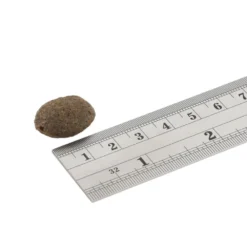 Fish4Dogs Finest Adult Complete - Zalm Grote Brok -Bekend Hondenspullen Winkel fish4dogs finest adult complete zalm grote brok 160940 1000 none