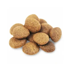 Fish4Dogs Finest Adult Complete - Zalm Grote Brok -Bekend Hondenspullen Winkel fish4dogs finest adult complete zalm grote brok 160943 1000 none