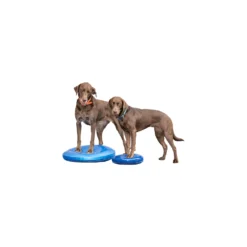 FitPAWS Balance Disc -Bekend Hondenspullen Winkel fitpaws balance disc 151561 1500 none