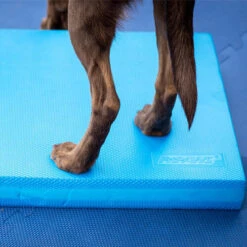 FitPAWS Balance Pad -Bekend Hondenspullen Winkel fitpaws balance pad 176131 0500 none