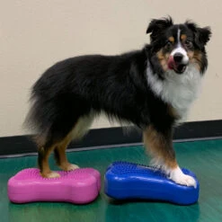 FitPAWS Bone Mini's -Bekend Hondenspullen Winkel fitpaws bone minis 177124 1000 none