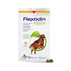 Flexadin Advanced Hond 6 Flexadin Advanced Hond -Bekend Hondenspullen Winkel flexadin advanced 133918 1000 none