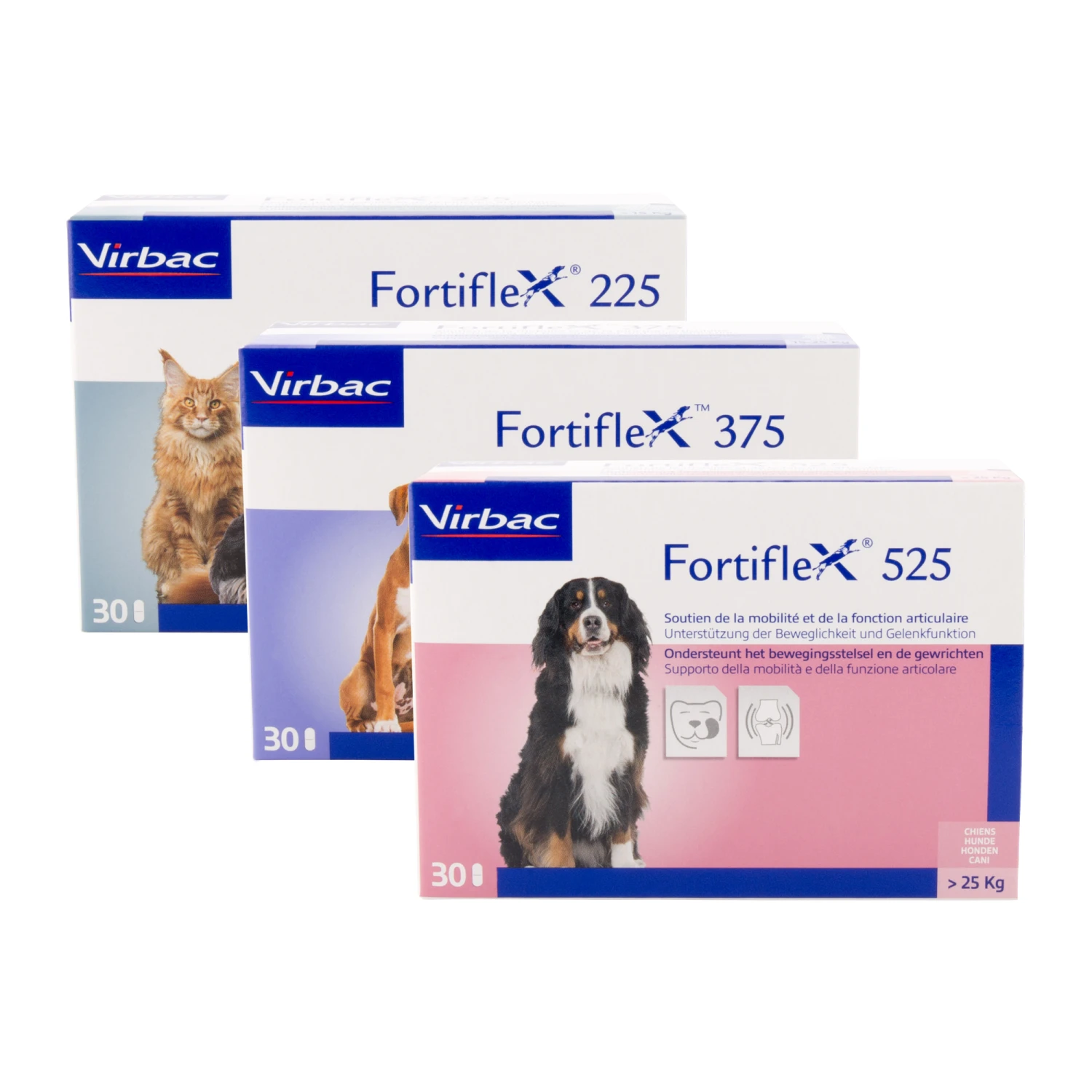 Virbac Fortiflex 225, 375 En 525 4 Virbac Fortiflex 225, 375 En 525 - Afbeelding 4