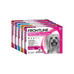Frontline Protect Hond Spot On 21 Frontline Protect Hond Spot On -Bekend Hondenspullen Winkel frontline protect hond spot on 192809 2000 none