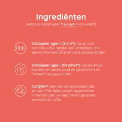 Greenfields Mobility+ -Bekend Hondenspullen Winkel greenfields mobility 208394 2000 none