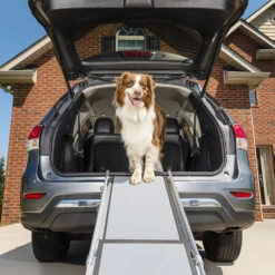 Happy Ride Telescoping Pet Ramp Deluxe -Bekend Hondenspullen Winkel happy ride telescoping pet ramp deluxe 162499 1000 none