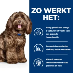 Hill's B/d Ageing & Alertness - Prescription Diet - Canine -Bekend Hondenspullen Winkel hills bd ageing alertness prescription diet canine 217847 2000 none