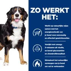 Hill's Metabolic + Mobility - Prescription Diet - Canine -Bekend Hondenspullen Winkel hills metabolic mobility prescription diet canine 212762 2000 none